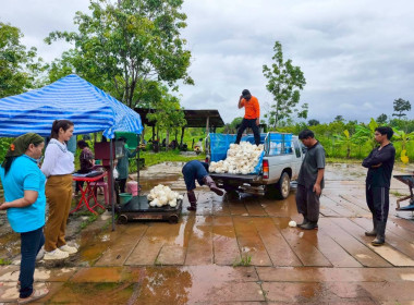 ติดตามการดำเนินธุรกิจรวบรวมผลผลิต (ยางพาราก้อนถ้วย) ... พารามิเตอร์รูปภาพ 5